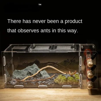Ökoloogiline Sipelgas Pesas Ant Töötuba Pet Sipelgas Pesas Tegevuse Ala Ant Katseklaasi Pesa Õpetamise Ant Aretus Ant Ant Ant Ant Ant Ants