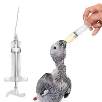 1 Komplekt Vastupidav Papagoi Söötmine Süstlaga Ringi Voolik Piima Investor BPA Vaba Väikeste Lemmikloomade Toitmine Süstal Tööriist