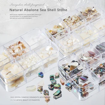 6 Võrkude Füüsiline Abalone Sea Shell Kivi Nail Art Kaunistamiseks 3D Ebaregulaarne Viil Killud Helbed Küünte Võlusid Maniküüri-Tarvik